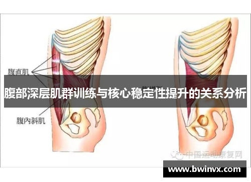 腹部深层肌群训练与核心稳定性提升的关系分析